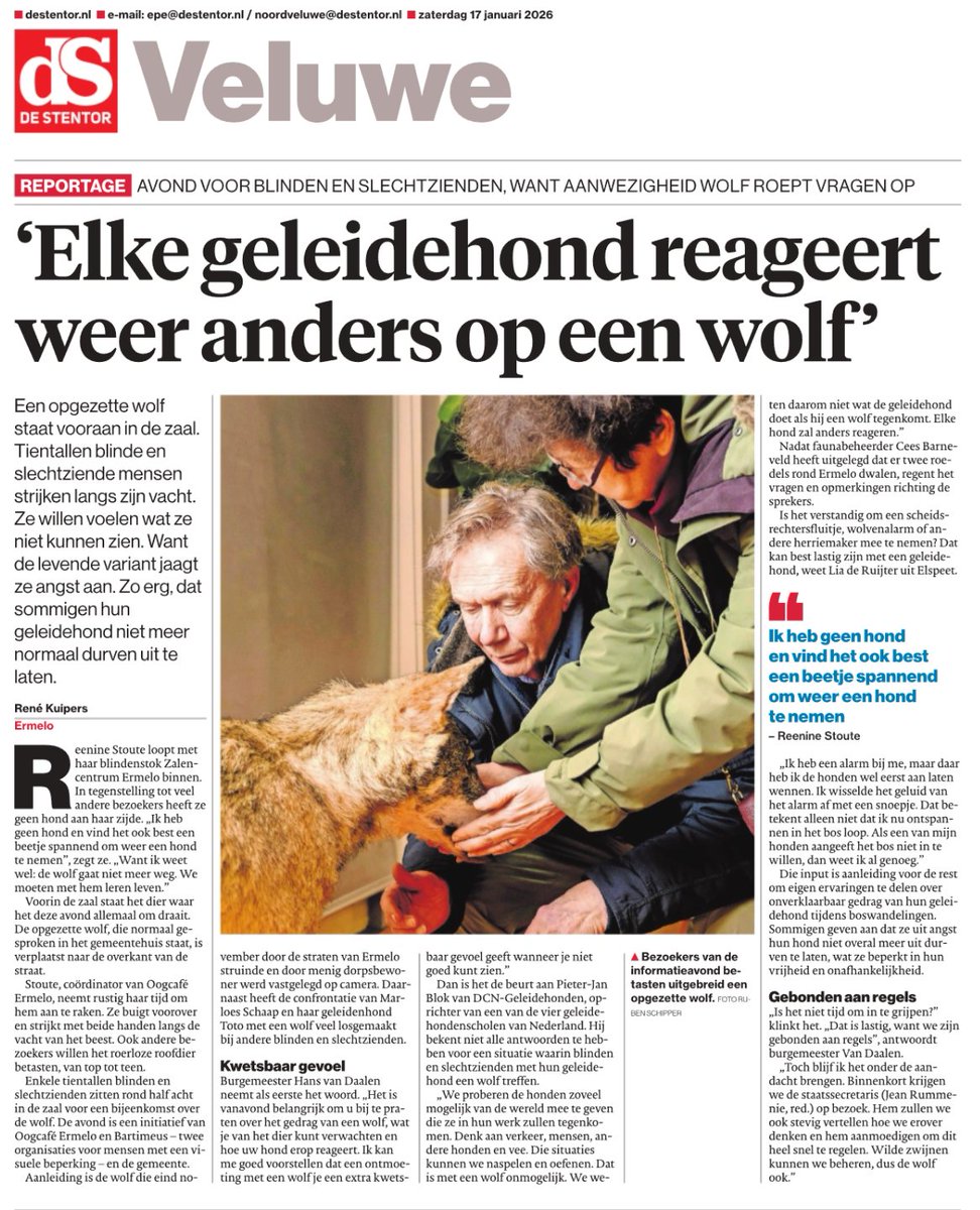 Stel: je bent blind, volledig afhankelijk van je geleidehond. Vroeger je enige veilige maatje tijdens je wandeling in het buitengebied. Nu heerst daar de wolf.
Angst, isolement, levens op z'n kop.
Welkom in het absurde Nederland 2026: wolf beschermd, blinden in de knel.
Beheer