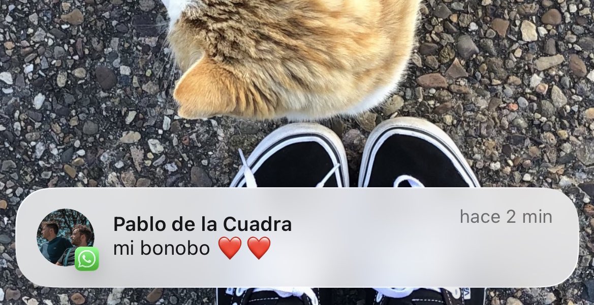 contexto me sale un eccema en el culo del estres
mi pariento en corto: