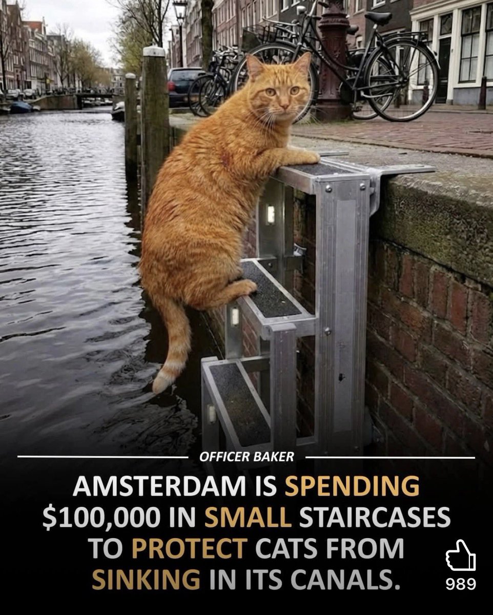 domdyer70's tweet image. Amsterdam is moving ahead with a gentle but meaningful safety plan along its famous canals. City leaders have approved funding to install small #escapesteps that help #animals climb out if they fall into the #water. Officials say the idea gained attention after animal groups…