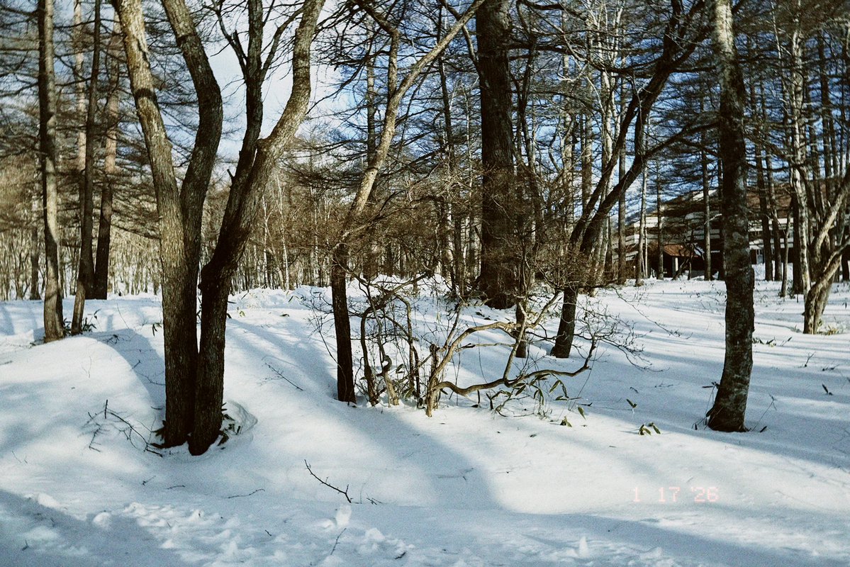 chim_244's tweet image. 雪撮☃️

皮膚取れるかと思うくらい寒かった