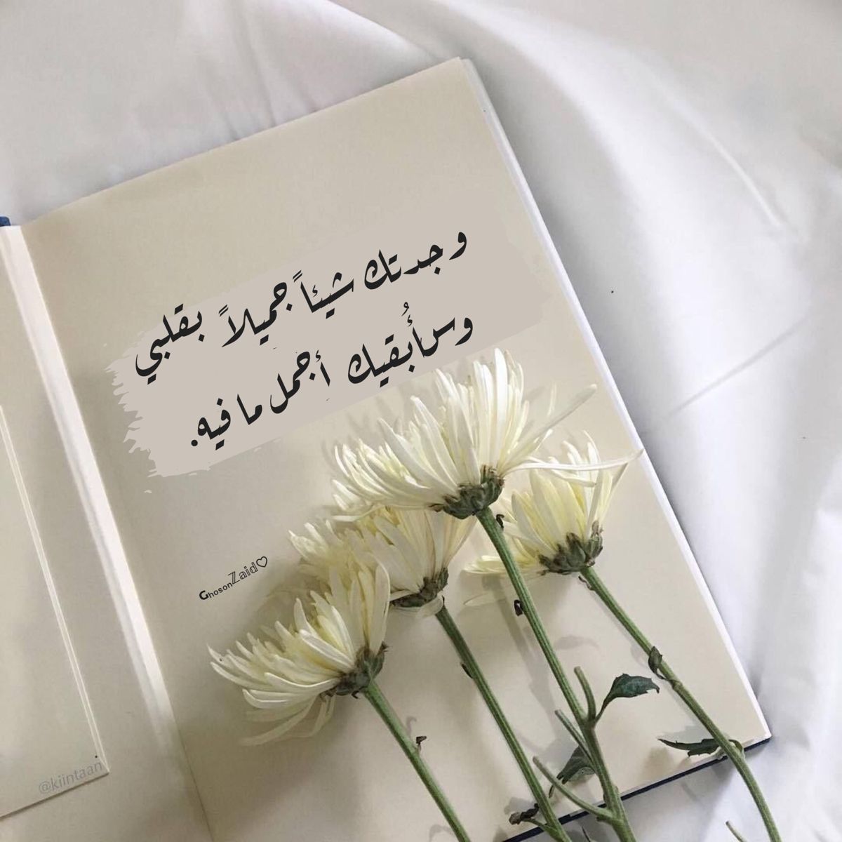 0bblb's tweet image. ֶָ ֶָ أجمل ما فيه🩷🦋ֶָ ֶָ