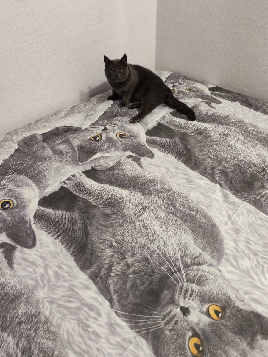 InnaEdgn's tweet image. Великолепнейший оригинал и жалкие копии 😺