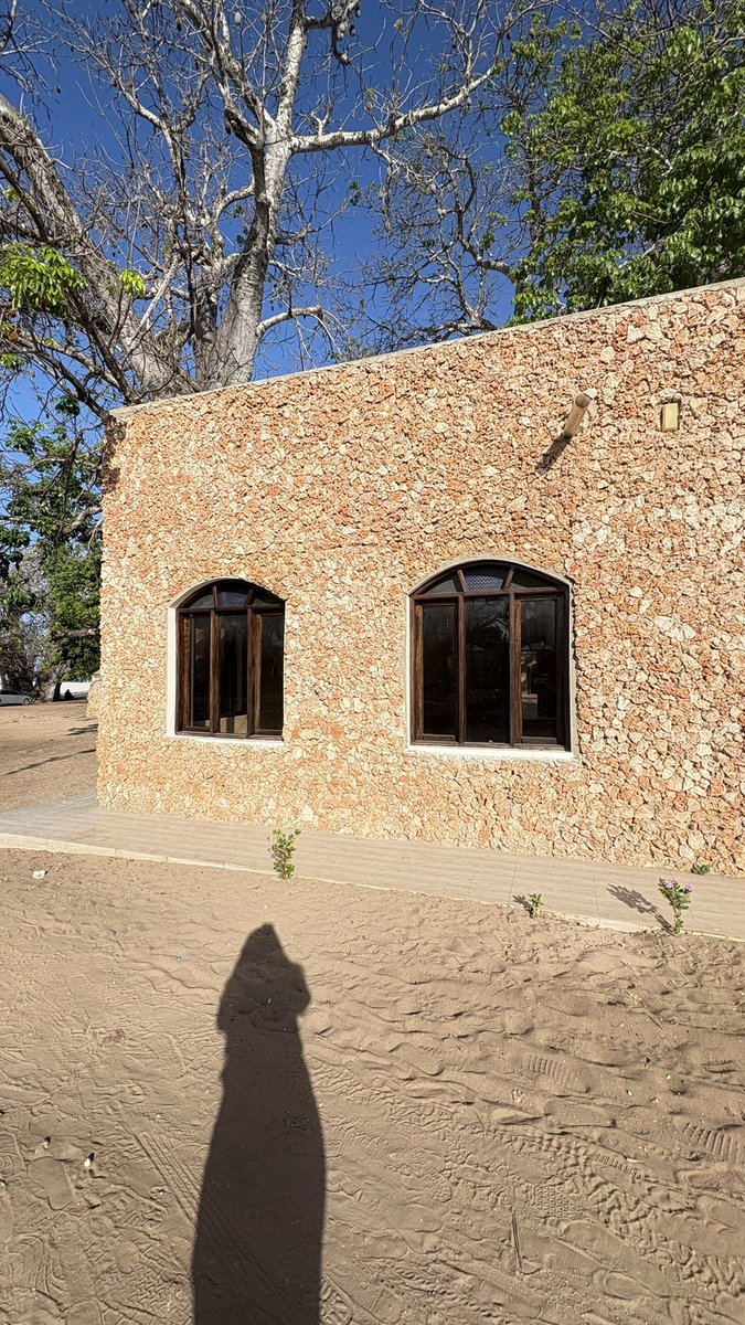 lucindajanet's tweet image. Now this is some good use of coral stone😃