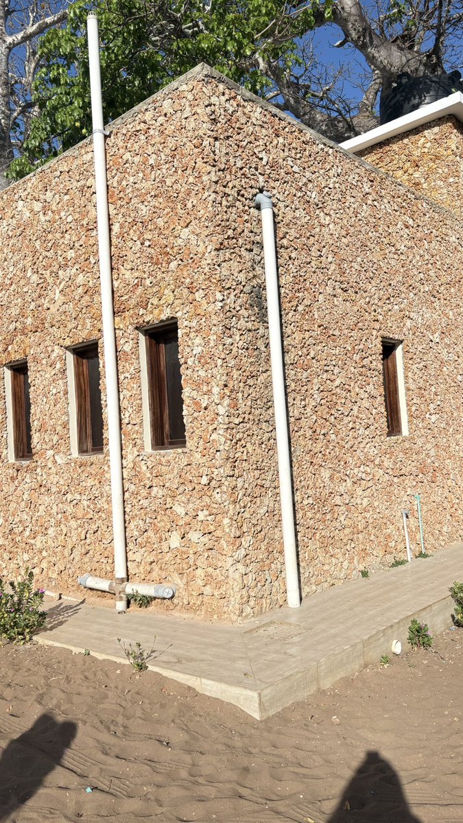 lucindajanet's tweet image. Now this is some good use of coral stone😃