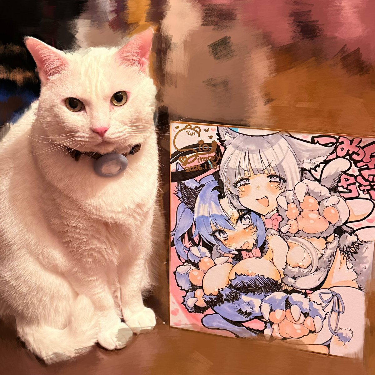 あしたのしきしできました。 