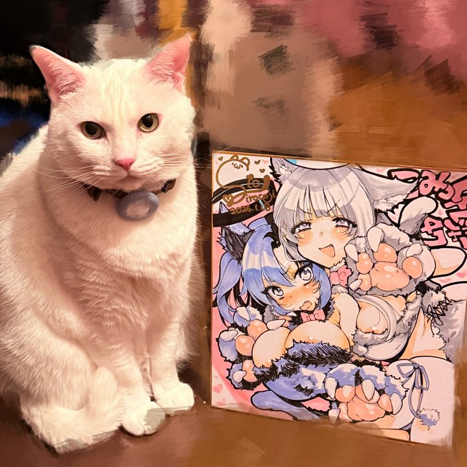 あしたのしきしできました。 