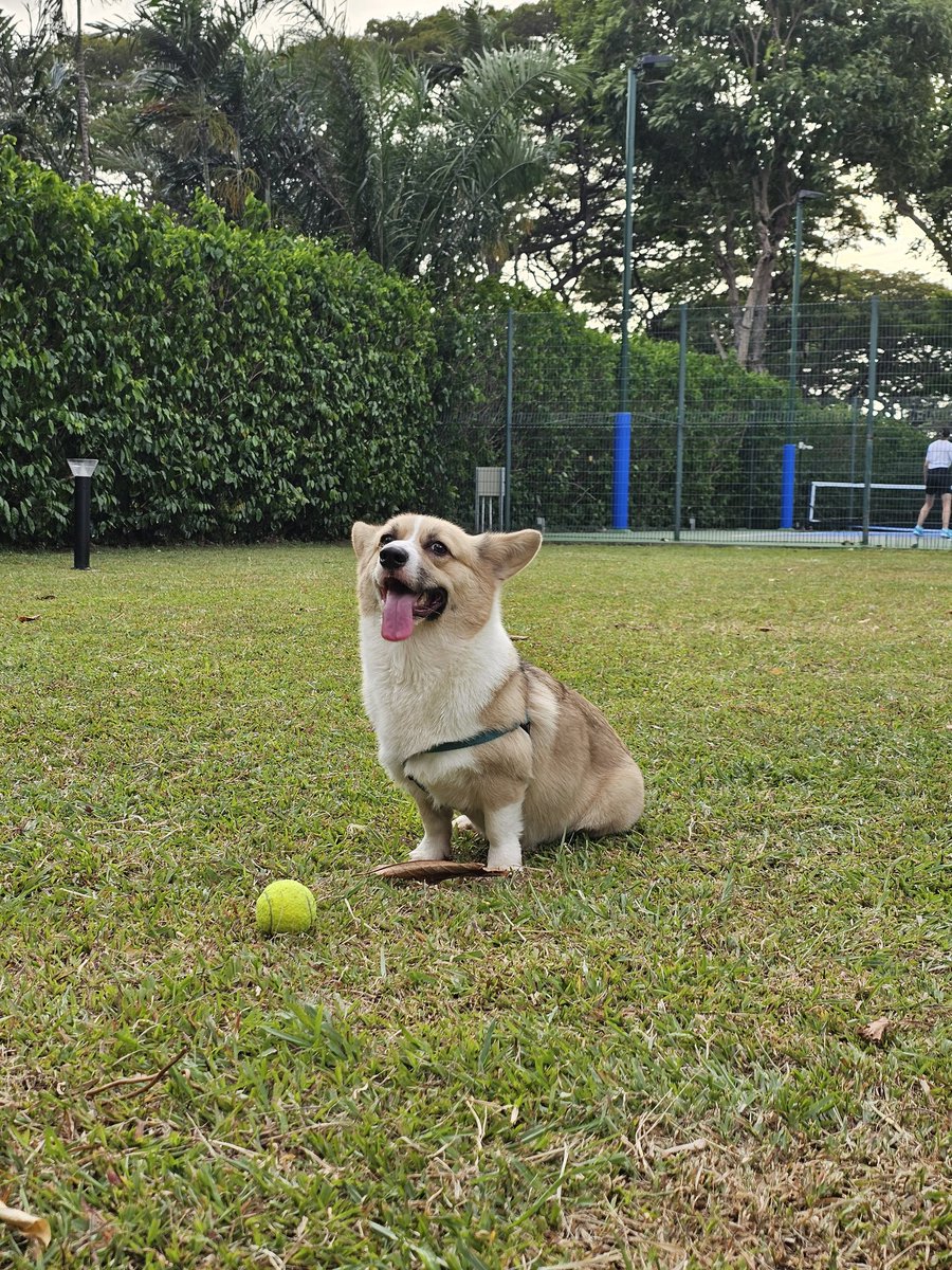 Love my new phone wallpaper 😊