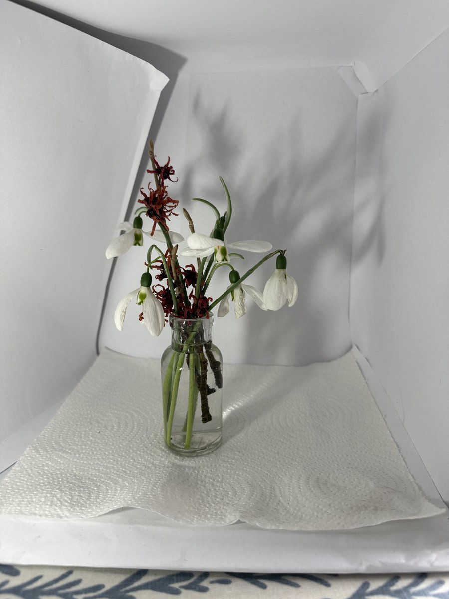 Sue Nichol tweet media