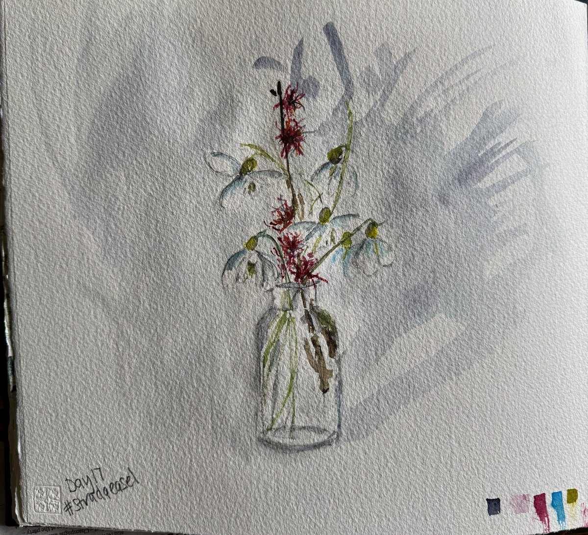 Sue Nichol tweet media