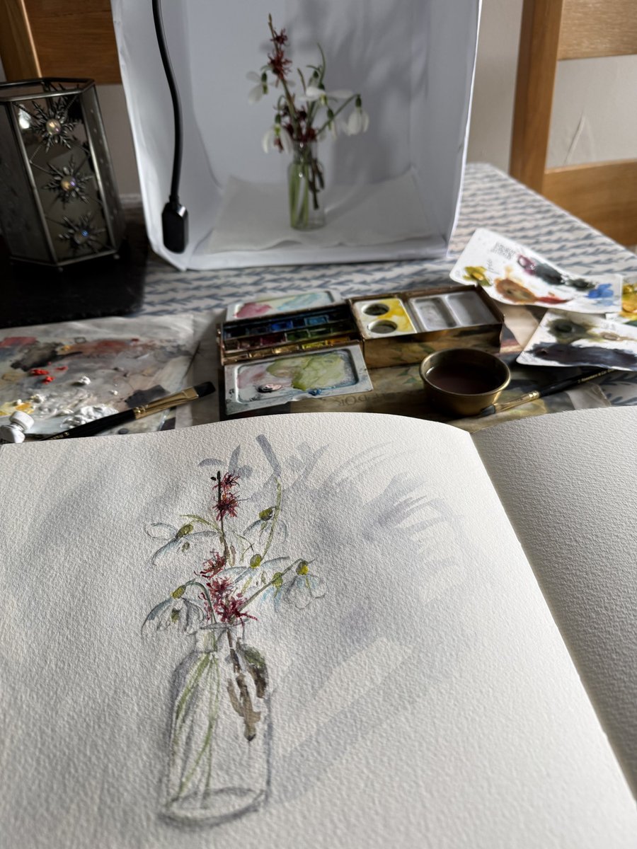 Sue Nichol tweet media