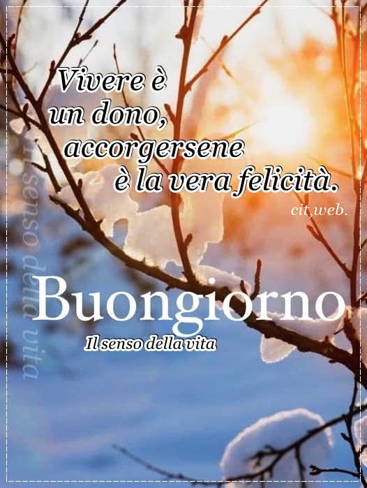 Donatella Fumagalli tweet media