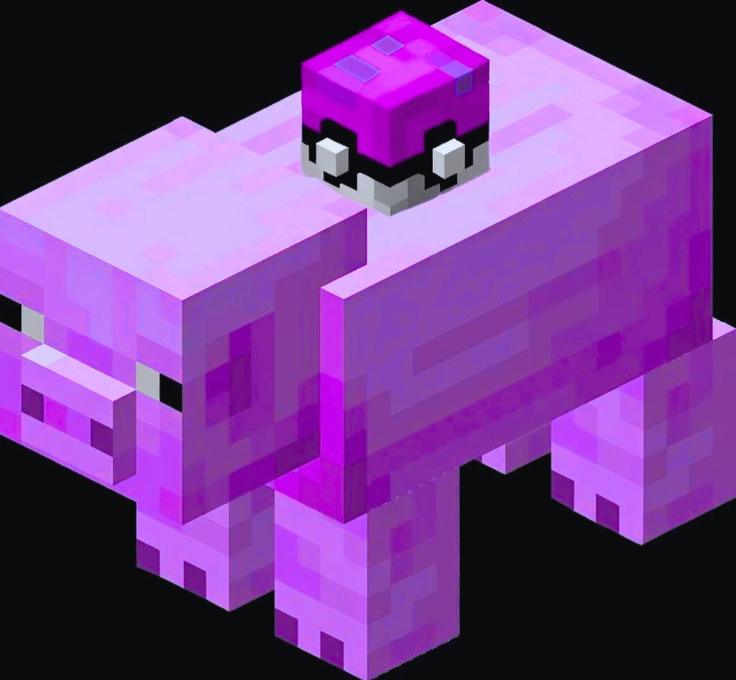 mindfuck 🤯
oink!
d0nt forget me : CXfErCqD2ufoZZ7791sRetSiMkeFSH6oKAjW7ERdpump