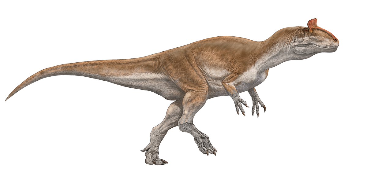 studiocorvo's tweet image. アポカリプスホテルを流し見しながら、ここまで3時間ぐらい。