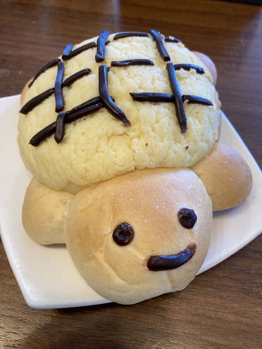 パン屋さんで目が合ったので
買ってしまった
カメさん
かわええ
縁起が良いとも言われてるし
次のチケット運お願いしますよ🥰