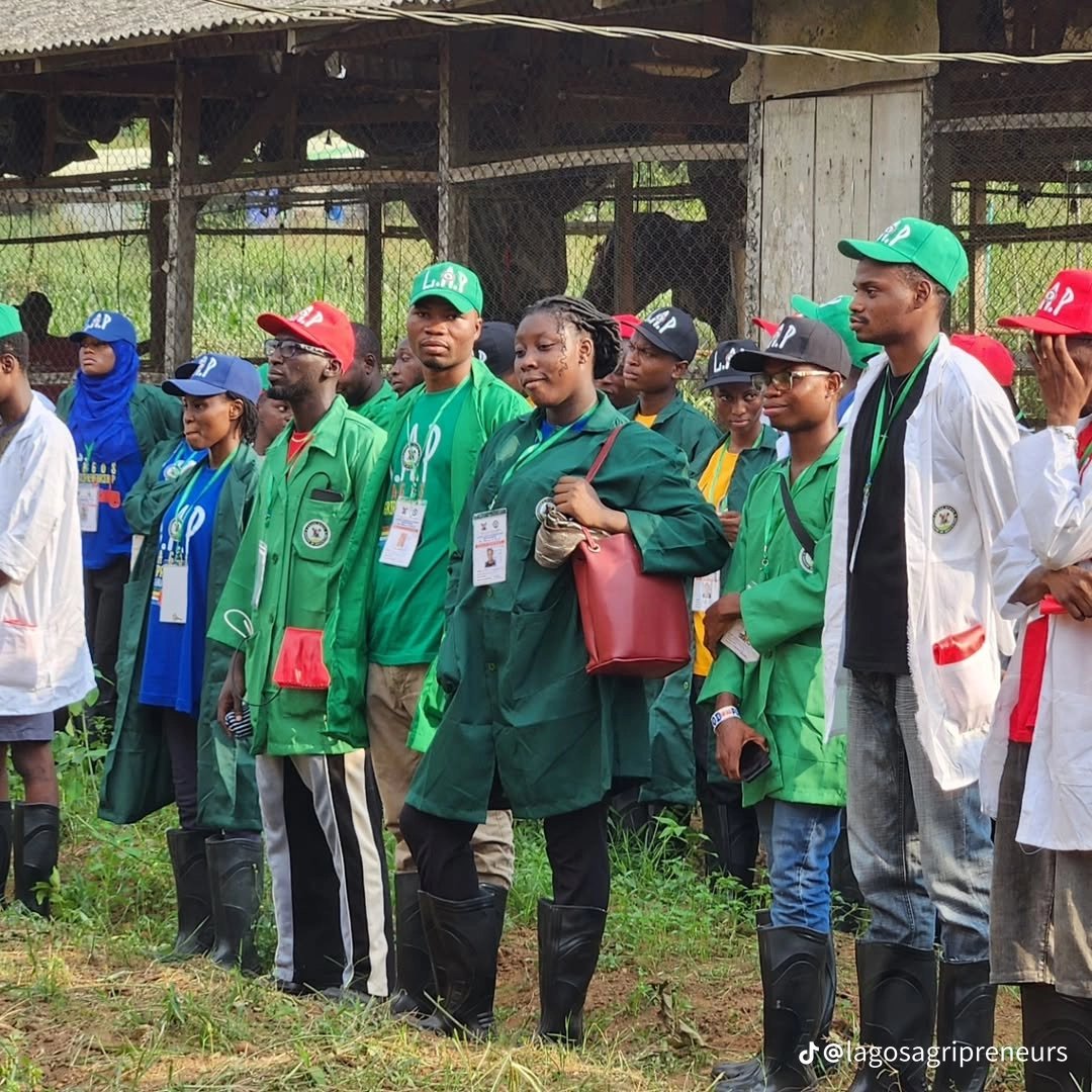 Lagos state will teach you what it takes to be a successful agripreneur through the LAP program. A free monthly training for interested youth in Lagos state under the office of the Ministry of youth and Food Systems led by HC <a href="/Abi_Olusanya/">Abisola Olusanya | The Lagos Food Architect</a>