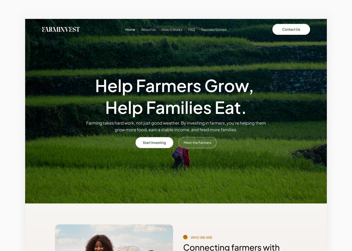 Avosuahi ✨ tweet media