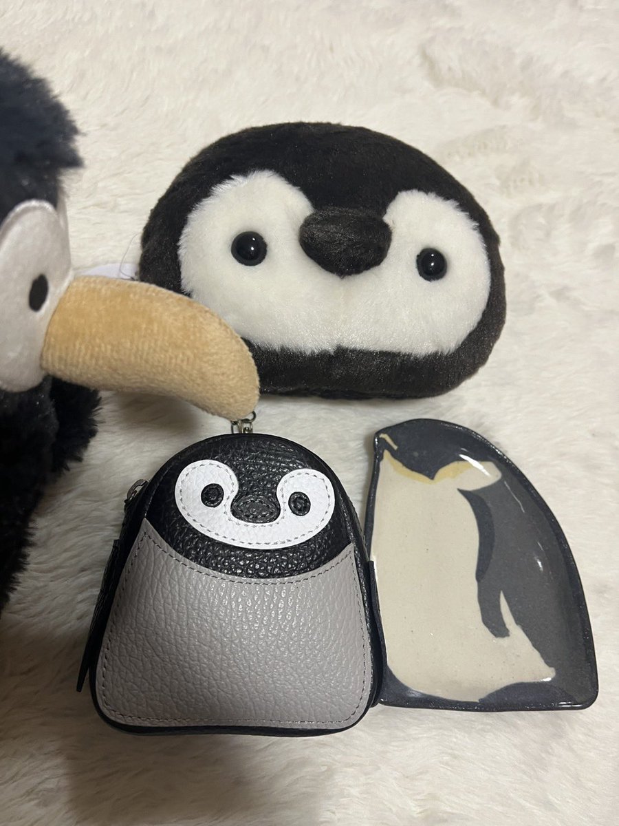 ゆきはす tweet media