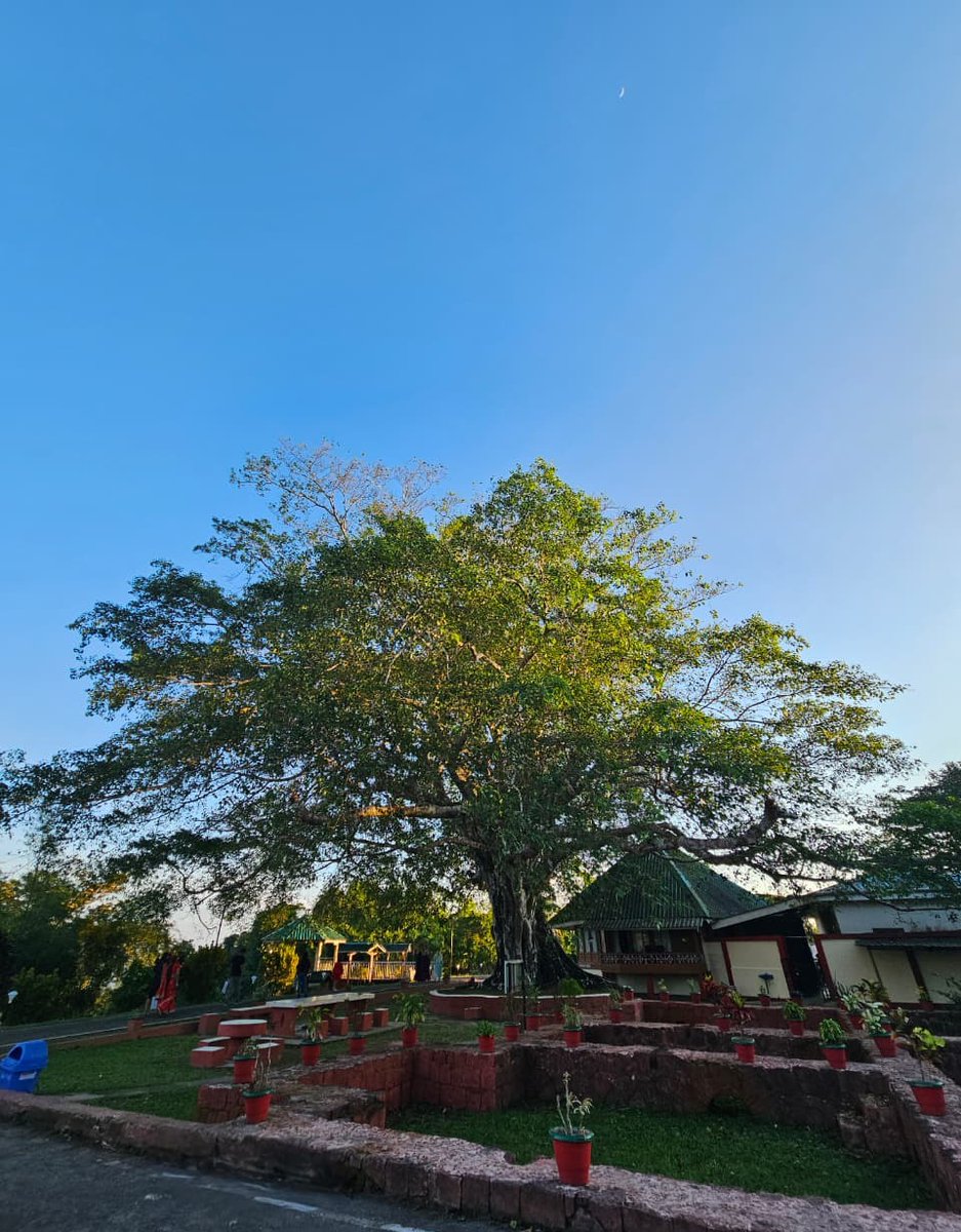 Andaman & Nicobar Police tweet media