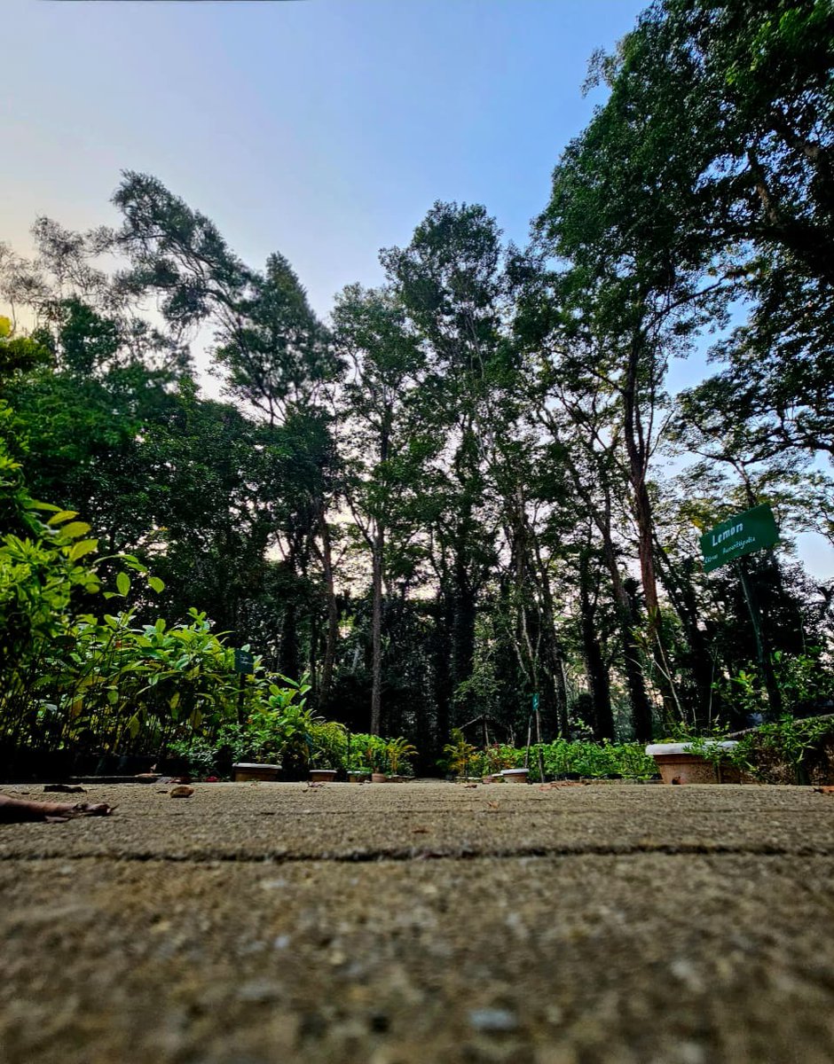 Andaman & Nicobar Police tweet media