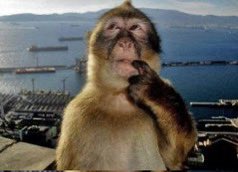 SIDE_be2's tweet photo. @Nlrchepalapulus time to leave twitter https://t.co/TEoFGvNwp4
