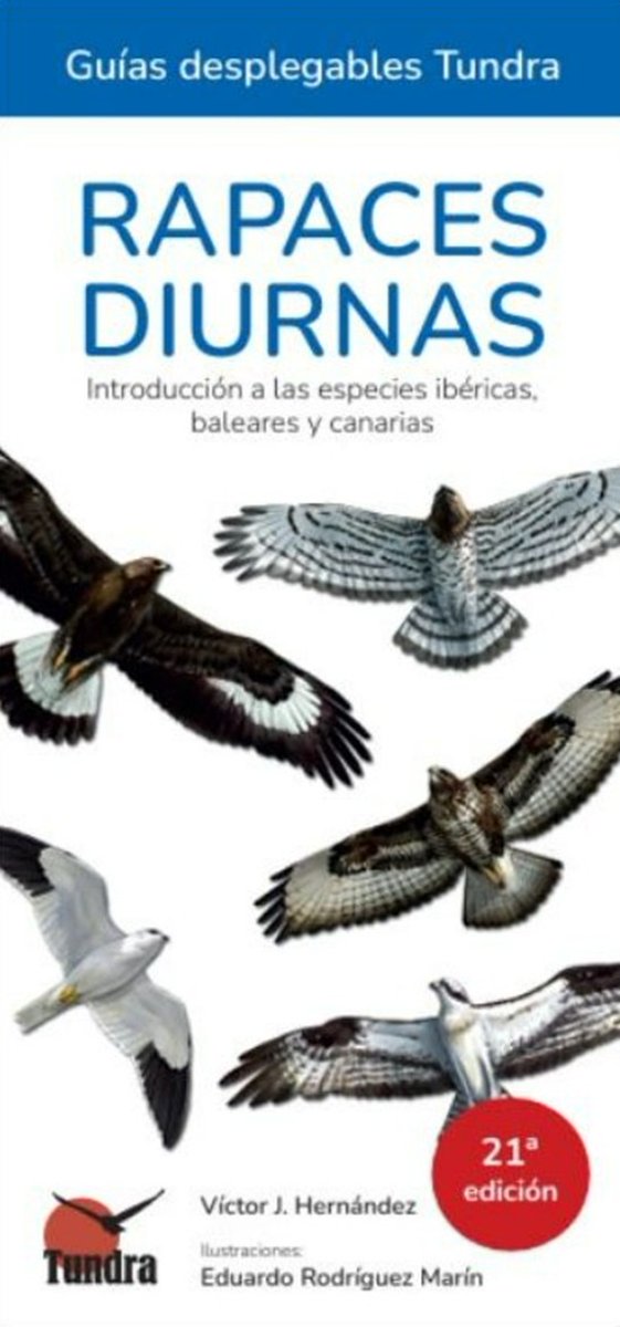 CRCiencia's tweet image. BIBLIOTECA CIENCIA 📚🆕
Rapaces diurnas. Introducción a las especies ibéricas, baleares y canarias (Víctor J.Hernández)
tundraediciones.es/index.php?opti…
vía @TundraEdiciones 
#Zoologia