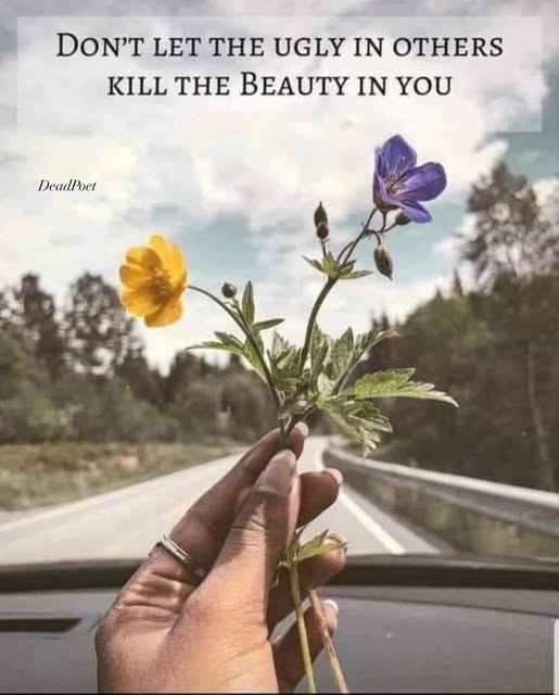 TrainingMindful's tweet image. #beauty