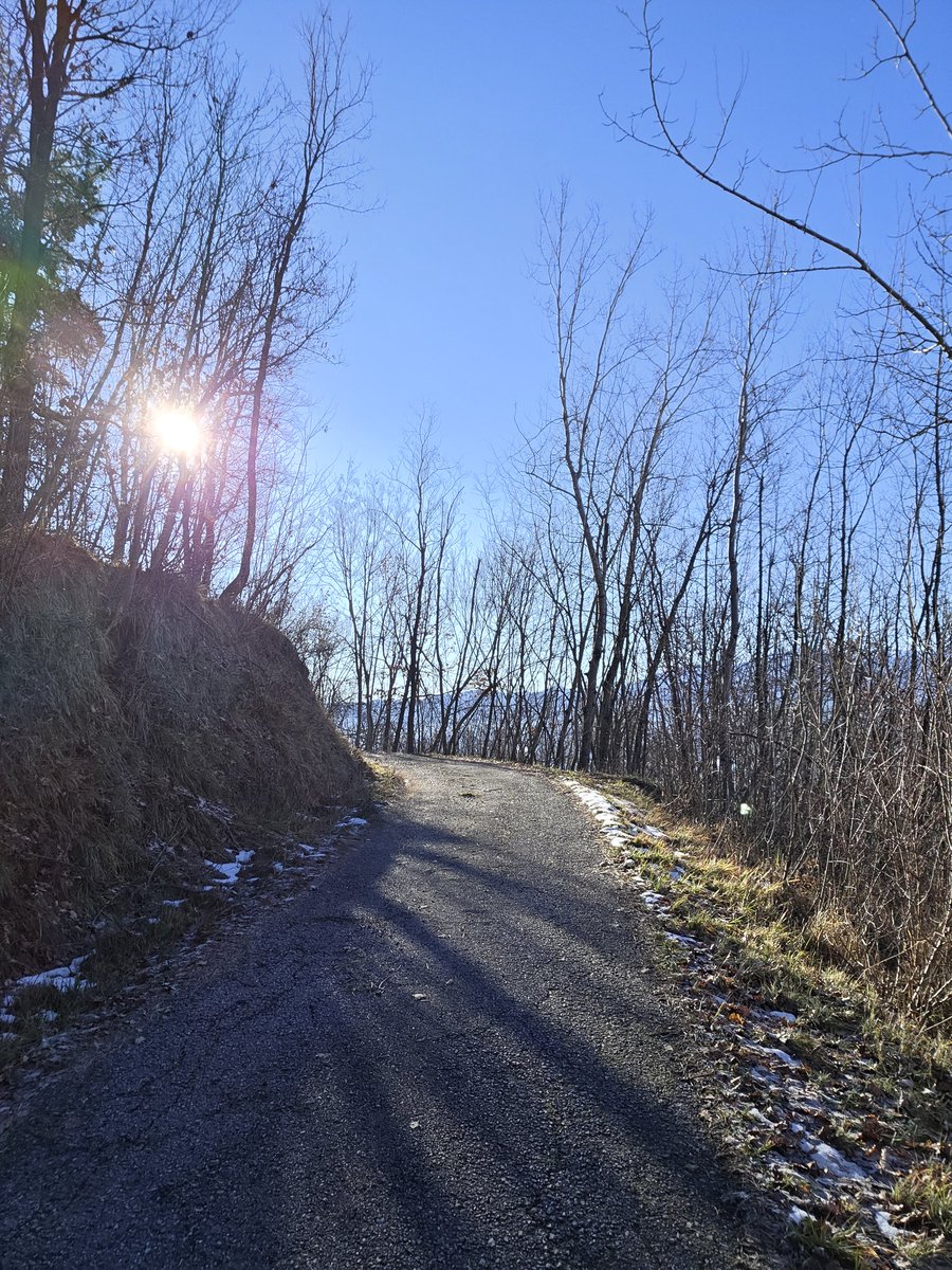 CappatoSimo's tweet image. Buongiorno, buon sabato  e felice weekend a tutti.☺️☕️🍰🧇🥯🌺🌲🌺🌲🌺🍀