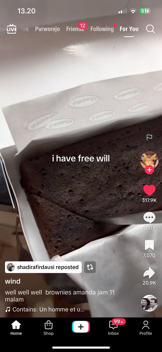 isn’t this a crime hoi <a href="/_AmandaBrownies/">Amanda Brownies『CF22 - FB8』</a> 😭😭😭