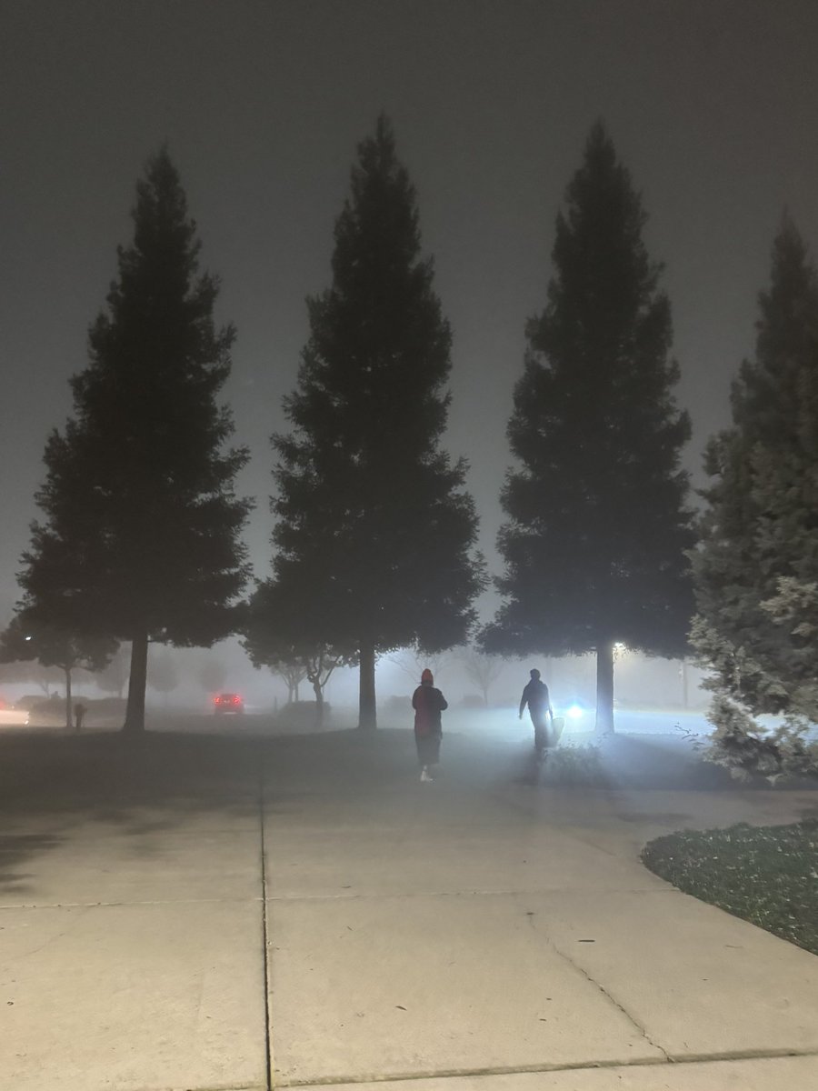 neptuningfork's tweet image. emerging out of rehearsal into the Fog That Makes You Evil