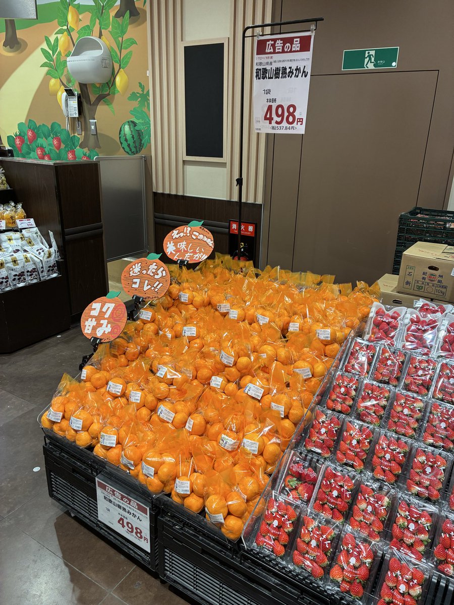 156summitstore's tweet photo. こんにちは☀️青果部門です🥦

【予告】
突然ですが、本日16:00より樹熟みかんのお味のご紹介を実施します！

チラシ掲載商品となっておりますので、お散歩ついでにご来店お待ちしております🍊

#サミットストア野沢龍雲寺店
#みかん https://t.co/OMTKkIFpvQ