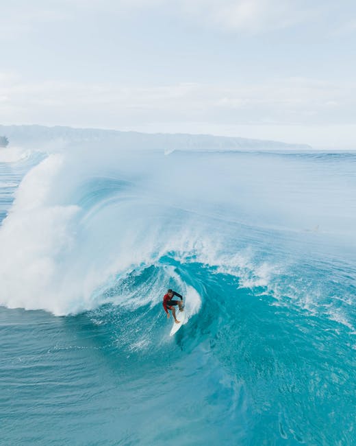 McmahonHan38536's tweet image. عمق المعلومات مثير تبادل للإعجاب. الخاص القراءة. المحتوى بك يعزز رحلة شكرًا لك! elfrieda benge