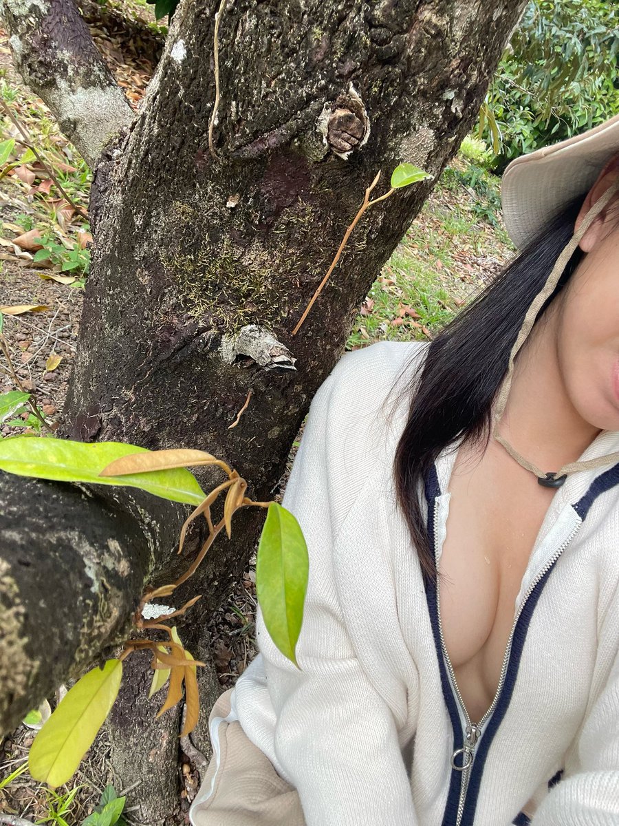 เหงื่อไหล