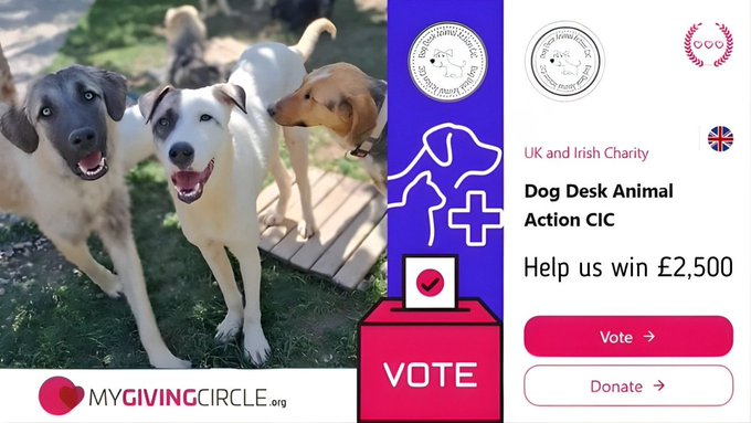 DogDeskAction's tweet photo. We need 2⃣0⃣8⃣ votes today please 

Vote here 👇 
https://t.co/4WdRNs6HqX

Vote today and once a week it’s FREE

Donations give DOUBLE votes and directly help dogs in need. 🙏

#RescueDogs #VoteForTheDogs #AnimalRescue #HelpThemNow #BeTheirVoice 🐾 https://t.co/4iyyzA3QTP