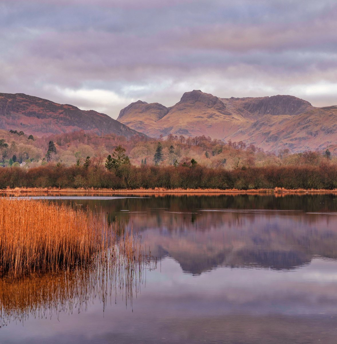 lakesrhino's tweet photo. Morning everyone I hope you are well. A brief moment of stillness across Elterwater. Have a great day.

#LakeDistrict https://t.co/wsQd5ORVWZ