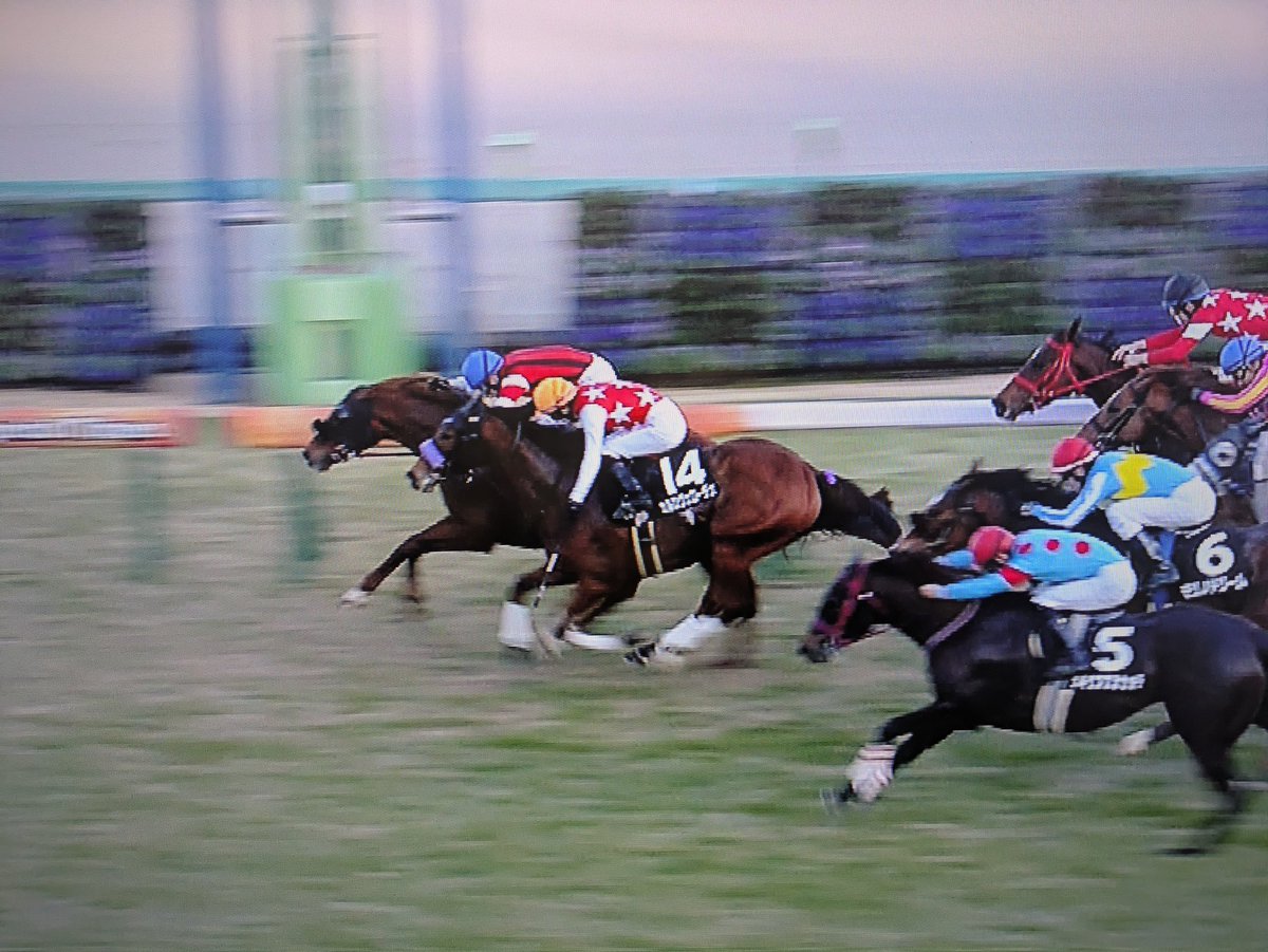 グレイテスト、トップハンデで勝った🎉🎉🎉