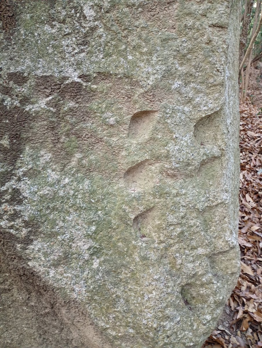 今日のヤコギ。石の瘤を取るために石割とは別に矢を使います #矢穴 #石丁場