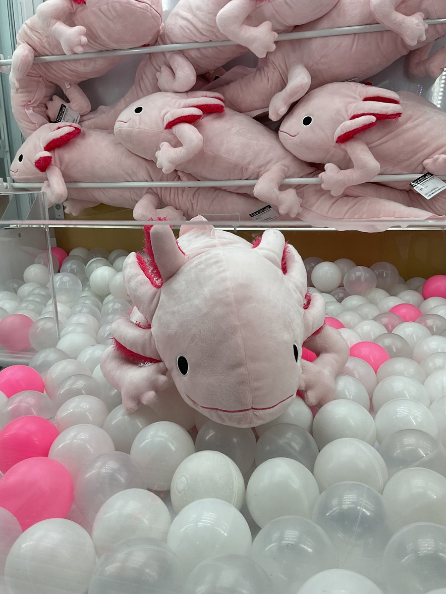 珍獣捕獲シリーズ メガウーパールーパー わくでかぬいぐるみ ② わくで