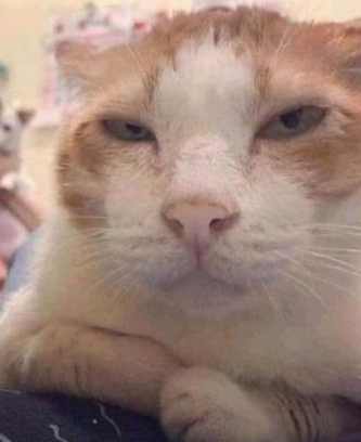 ¿En qué se parece Bitcoin al oro?
En que ambos están secuestrados por el gobierno, y en que en la mayoría de las rampas de salida (ventas) debes identificarte