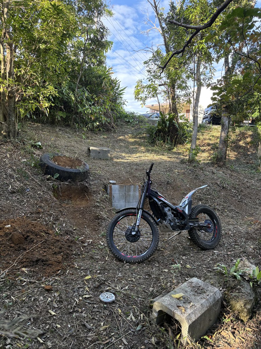 ポム森＠黒猫沖縄トライアル tweet media