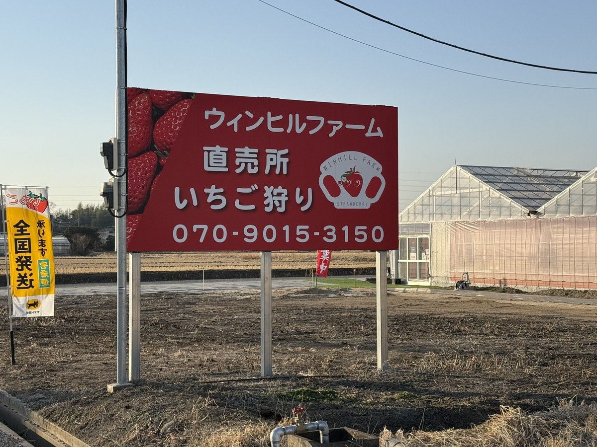 杉戸町本郷にあるいちご🍓農園、#ウィンヒルファーム にお伺いしました。

勝岡さんが経営されていて、#あまりん をはじめ多くの品種が栽培されています。
2月11日（水）からはいちご狩りが始まるとのことです。

とっても美味しいので一度伺ってみてはいかがでしょうか？

※青柳さんとのコラボ商品も