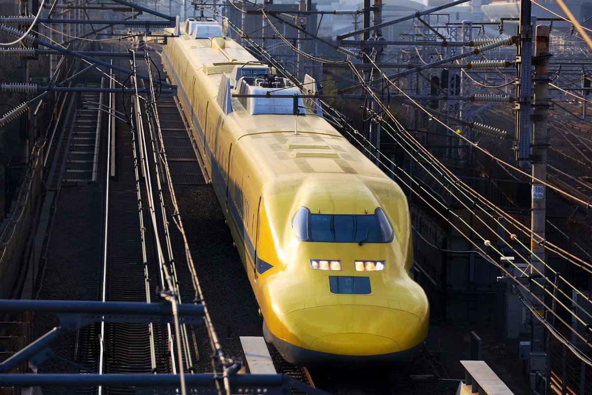 ホーリー (@KISSZEP1) / Posts / X