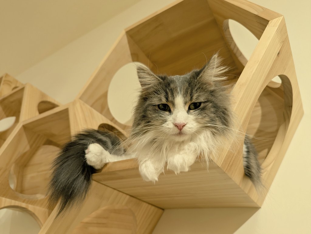 なかっち (@opera_dance) / Posts / X