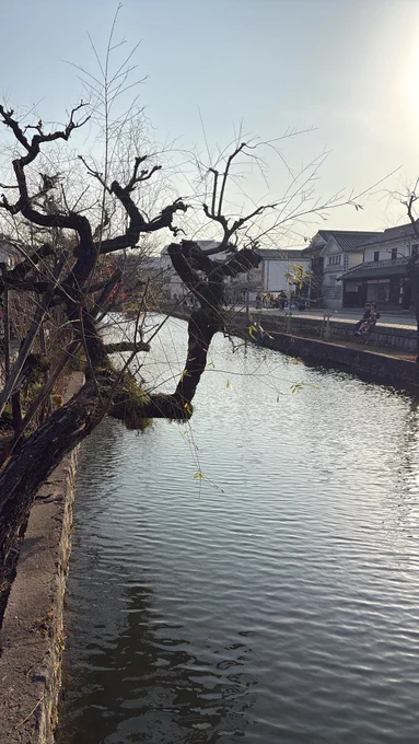 クラシキ