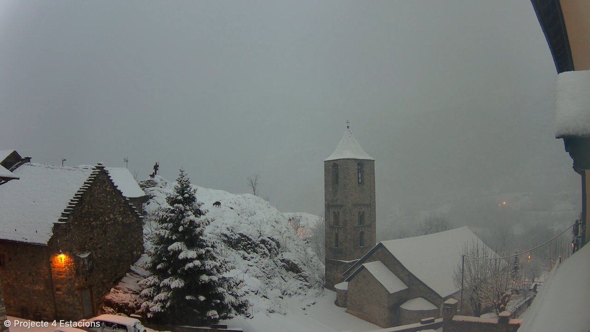 Projecte 4 Estacions tweet media