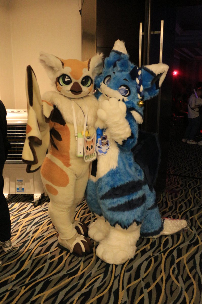 是政　KOREMASA tweet media