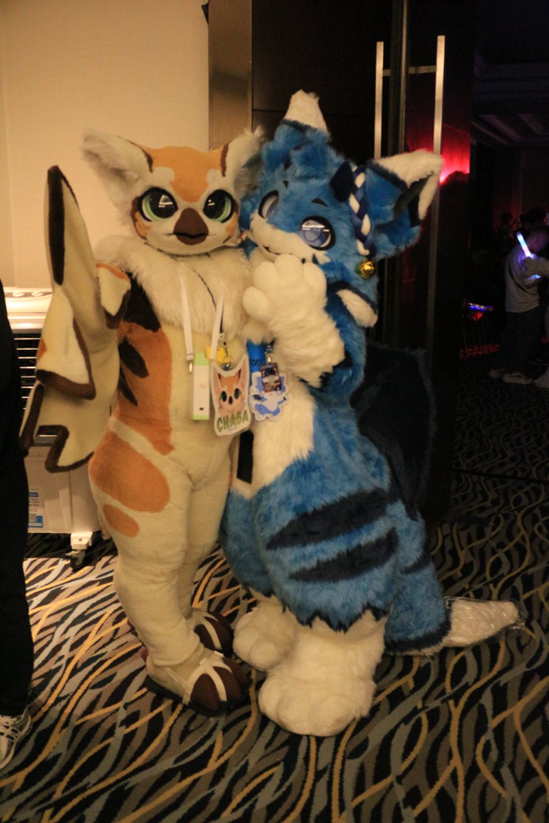 是政　KOREMASA tweet media