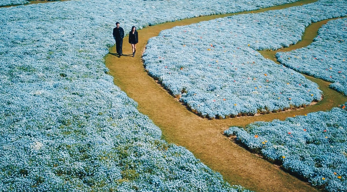 alldramahours's tweet photo. — #LoveBetweenLines, episode 17. https://t.co/sRiMy9L72S