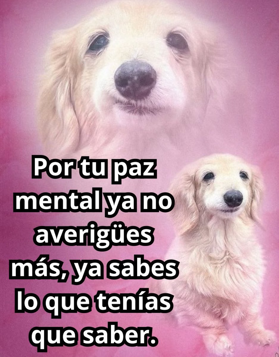 Briagowsky's tweet image. 