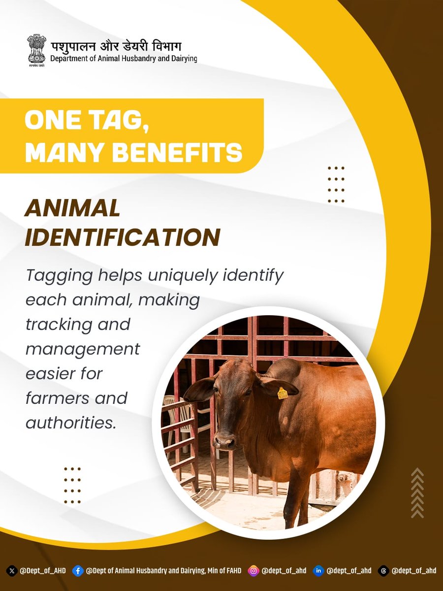 Dept_of_AHD's tweet photo. Animal tagging helps uniquely identify each animal, making tracking and management easier for farmers and authorities. Proper identification ensures better care, effective disease control, and efficient farm management.
#AnimalIdentification #LivestockManagement #FarmEfficiency #SmartFarming
