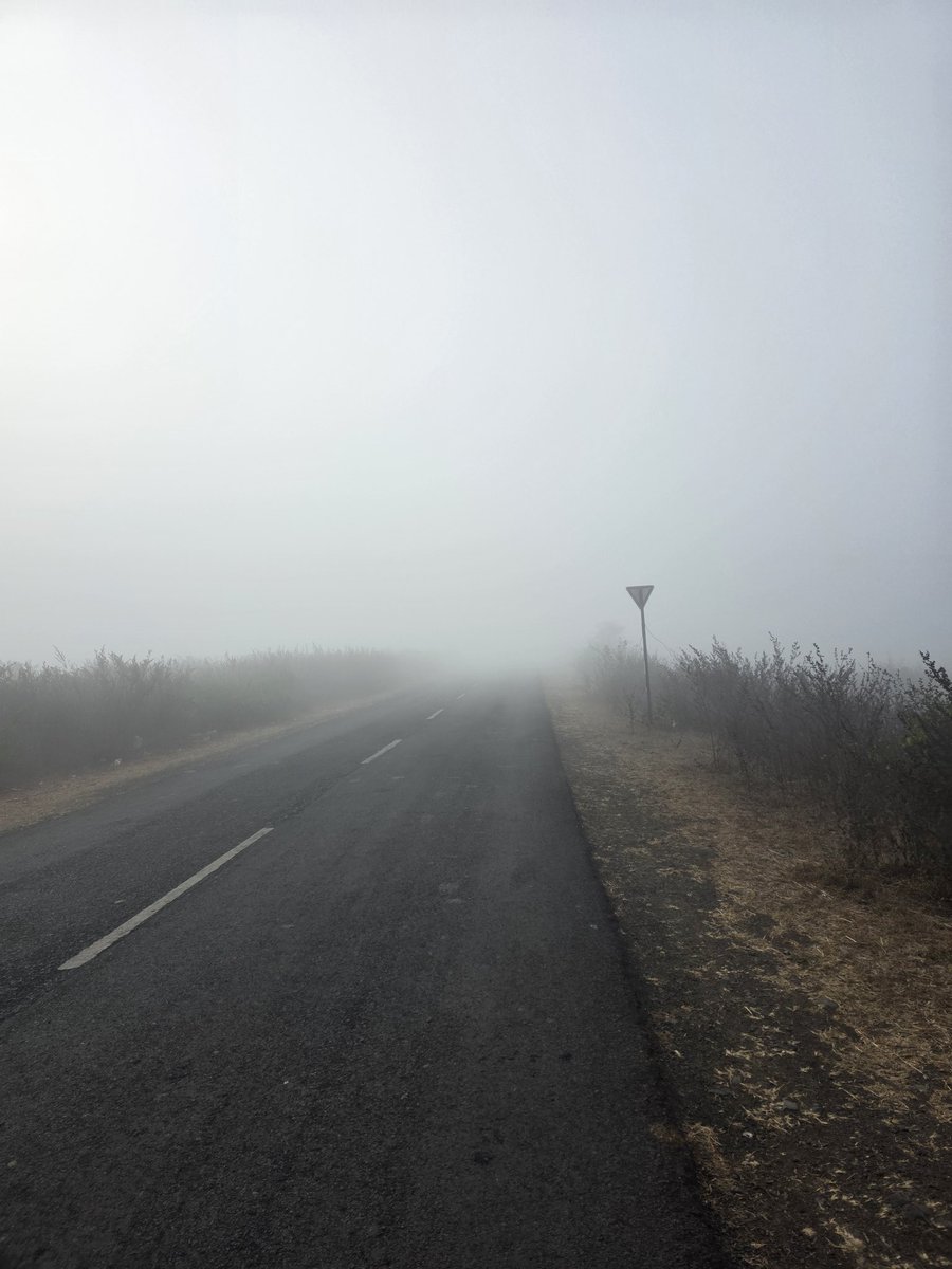 Mridul Pal tweet media